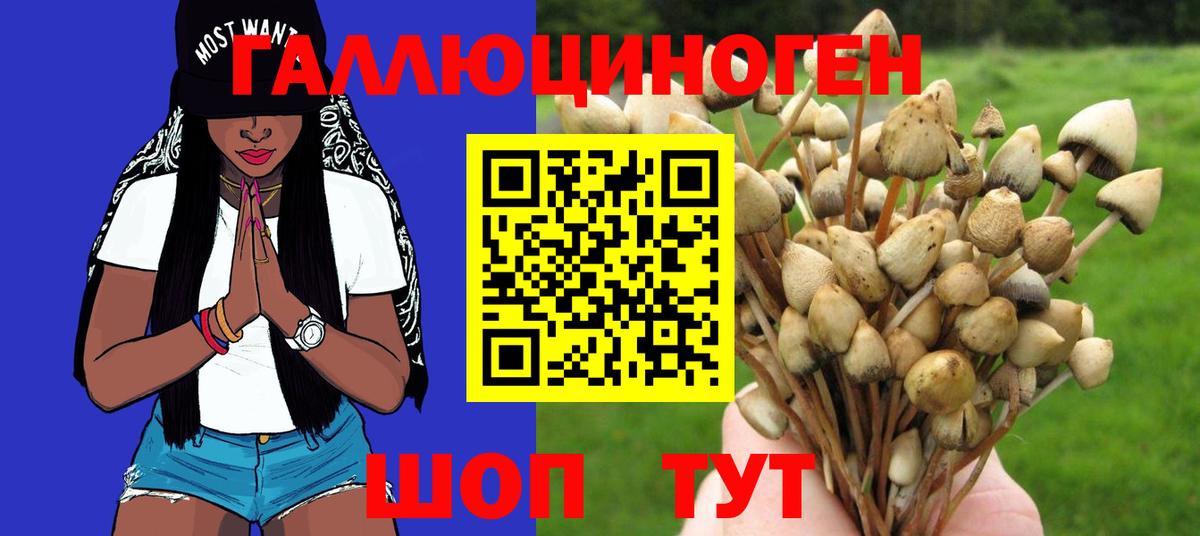 Псилоцибиновые грибы MAGIC MUSHROOMS Биробиджан