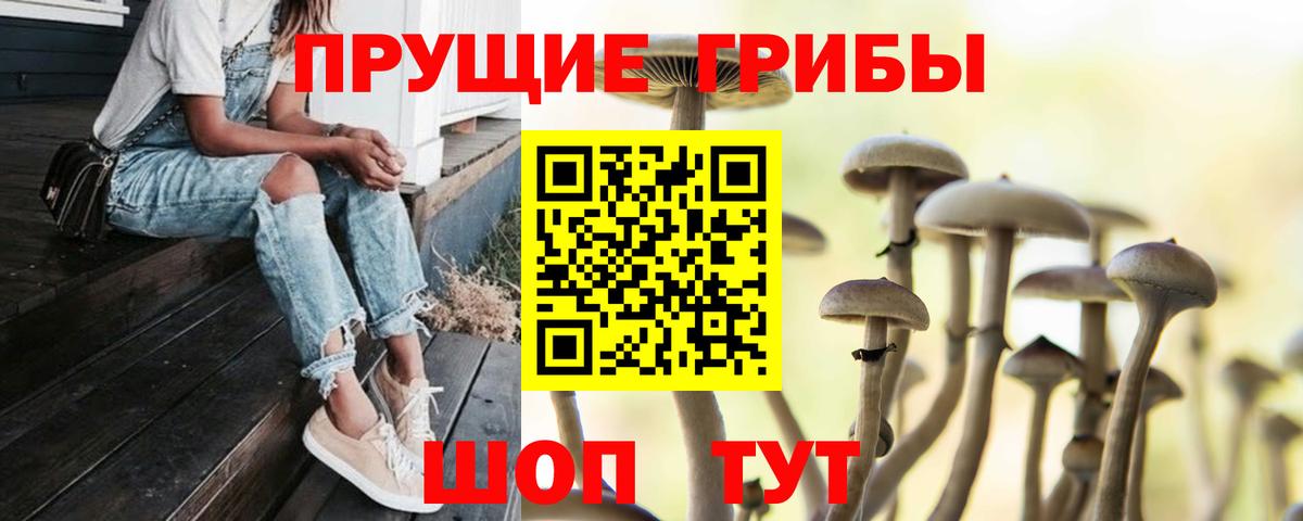 Псилоцибиновые грибы GOLDEN TEACHER  Вход с VPN  Биробиджан 